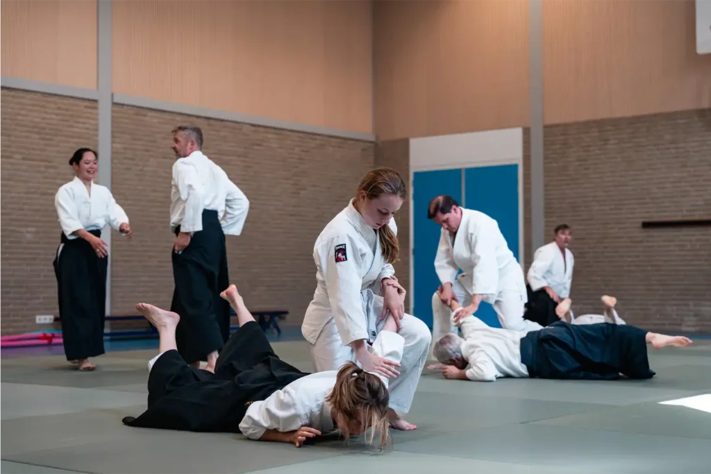 Wat leer je in een jaar Aikido