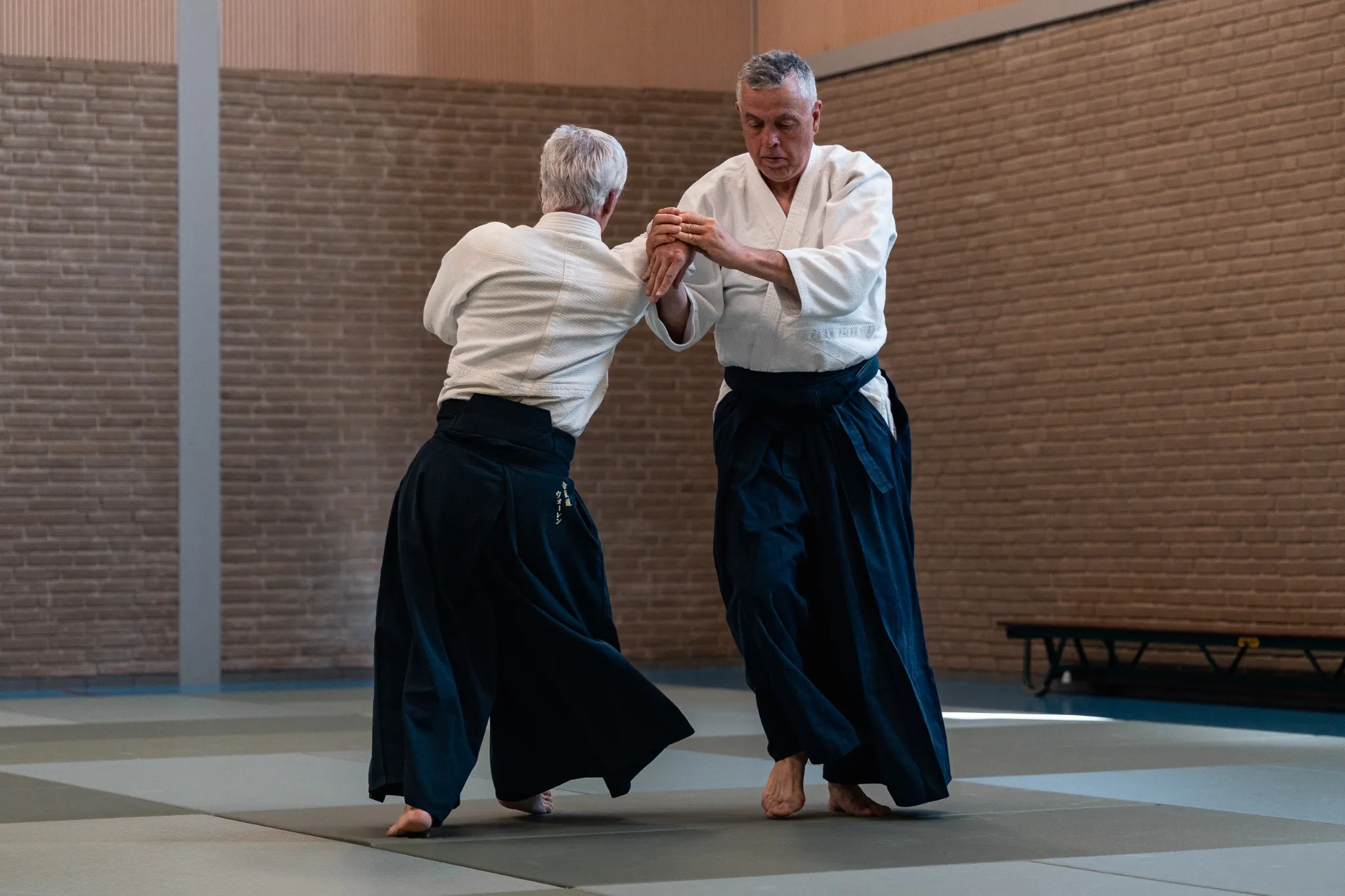 aikido aikido